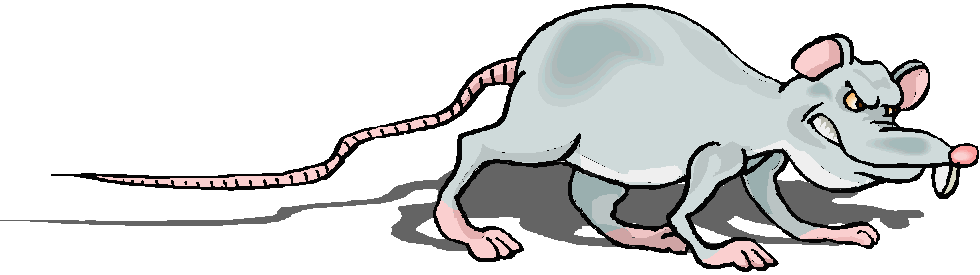 clipart pictures of rats - photo #43