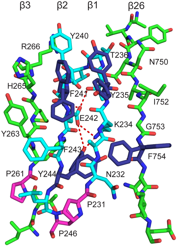 Structural basis for lipopolysaccharide insertion in the bacterial ...