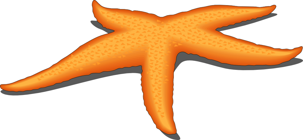 Starfish Clipart For Wedding Place Card | Clipart Panda - Free ...