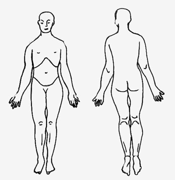 Human Body Diagram Blank