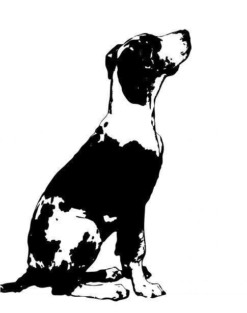 Dog Clipart Great Dane Free Stock Photo - Public Domain Pictures