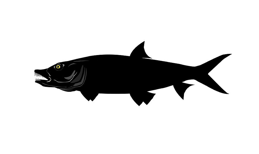 Tiger Fish Silhouette by Nigel Wakefield - Tiger Fish Silhouette ...