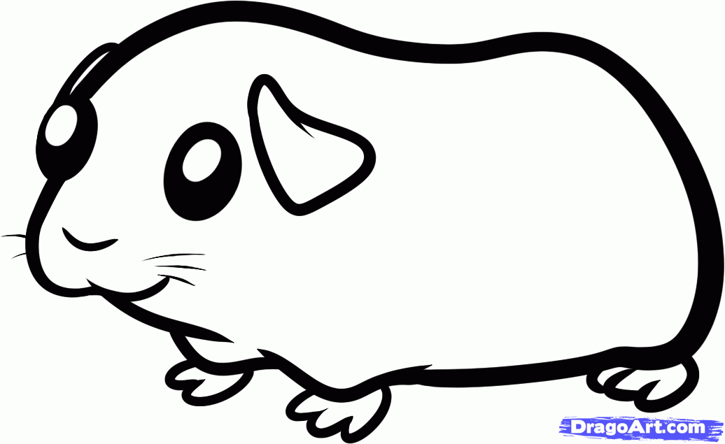 How to Draw a Guinea Pig for Kids, Step by Step, Animals For Kids ...