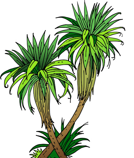 palm leaves clipart - photo #35