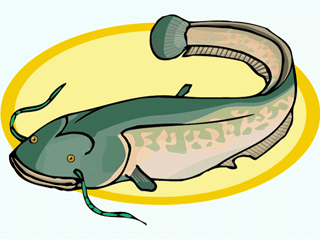 Fish graphics catfish 931568 Fish Graphic Gif