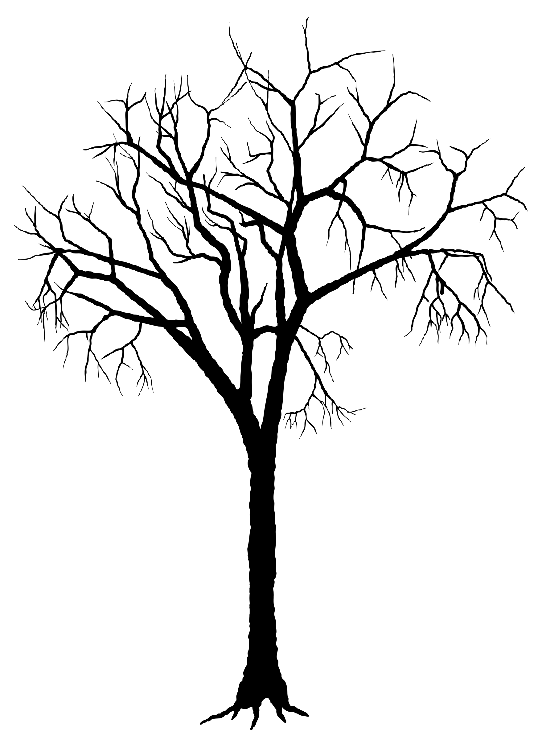 free clipart dead tree - photo #45