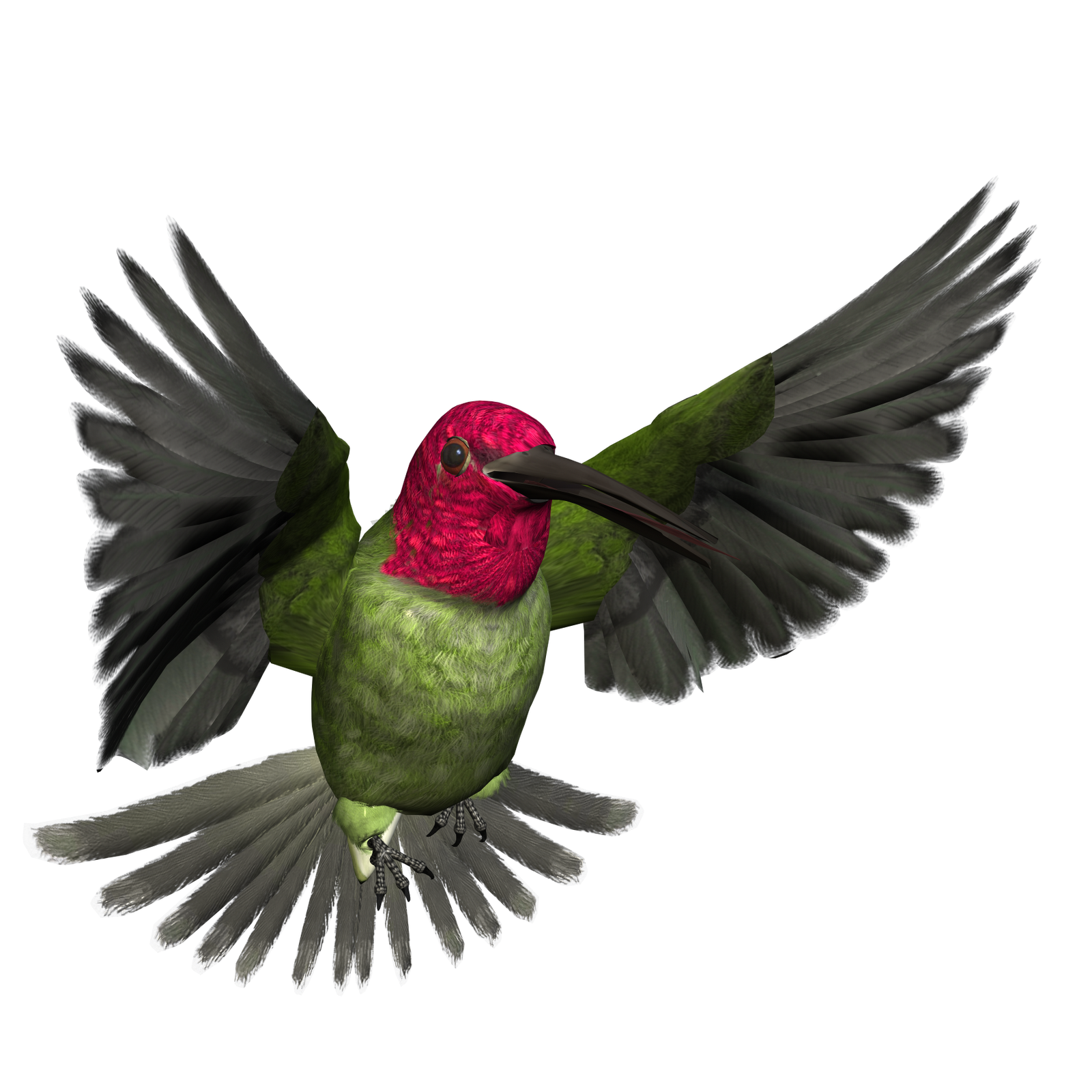 Free High Resolution graphics and clip art: bird png graphics ...