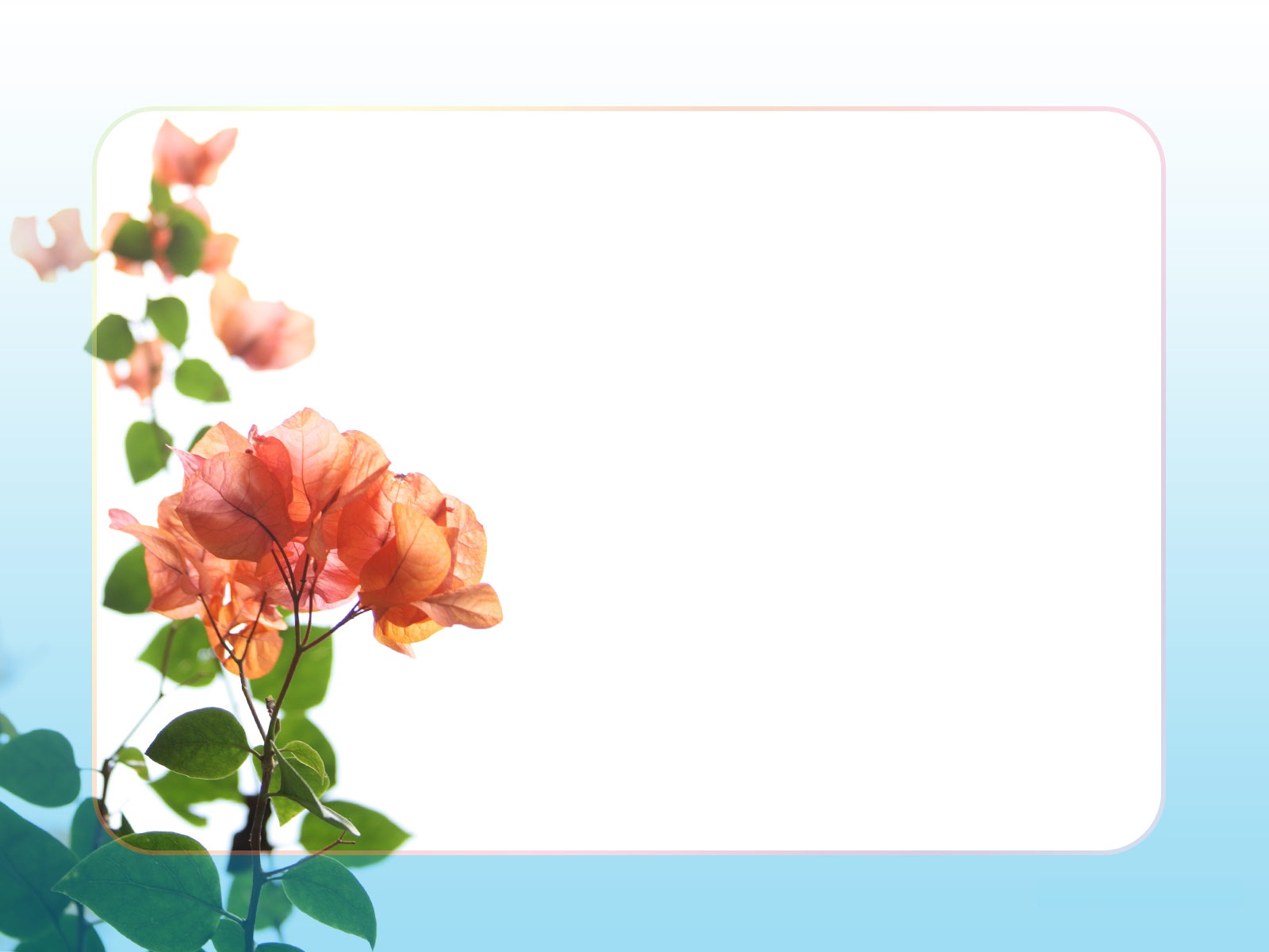 Flower Borders Free - Cliparts.co