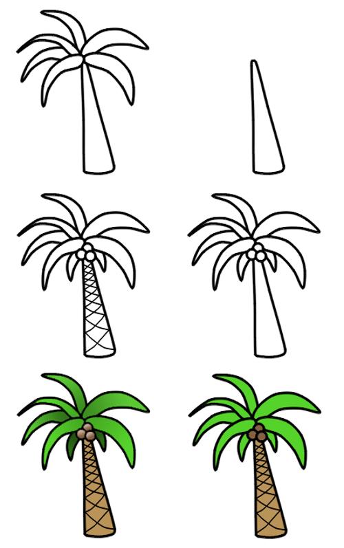Palm tree drawing steps | Free Reference Images