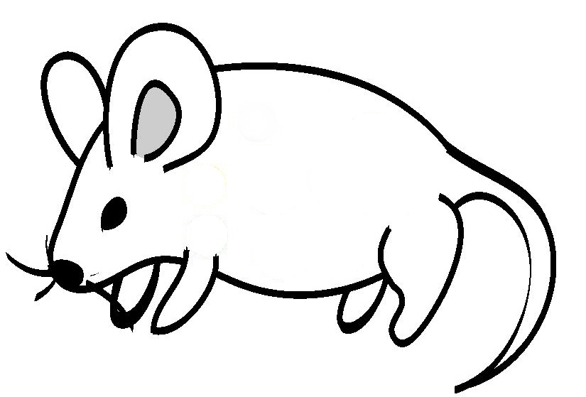 Line Drawing Of Animals - ClipArt Best