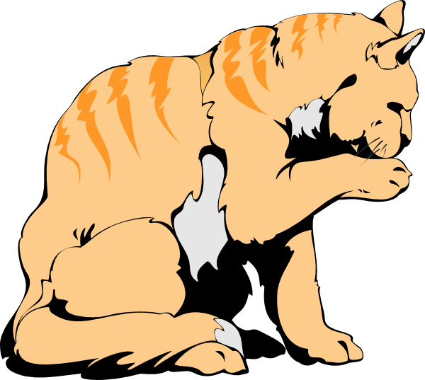 Orange Cat SVG Downloads - Animal - Download vector clip art online