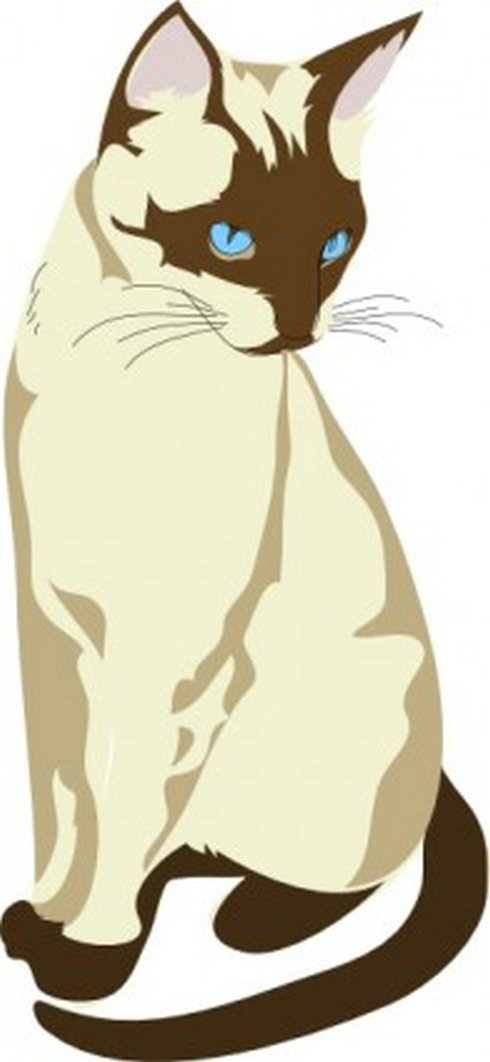 Gatto Cat Clip Art 4 | Free Vector Download - Graphics,Material ...