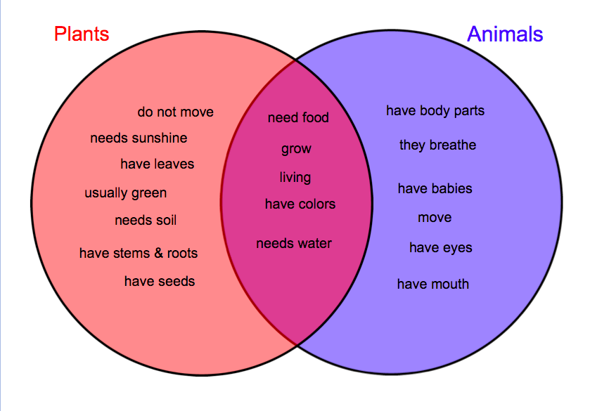 Plant And Animal Cell Comparison Tattoo