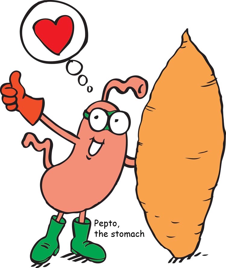 Sweet Potatoes Clip Art Images & Pictures - Becuo