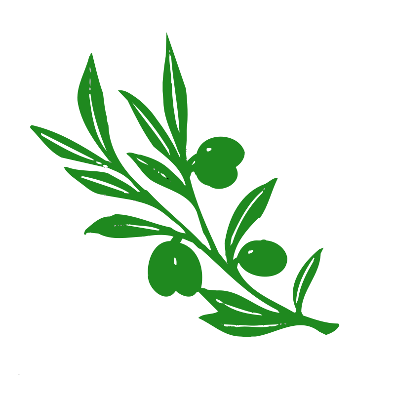 Clipart - olive tree branch