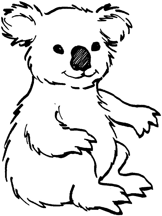 Cute Koala Clipart