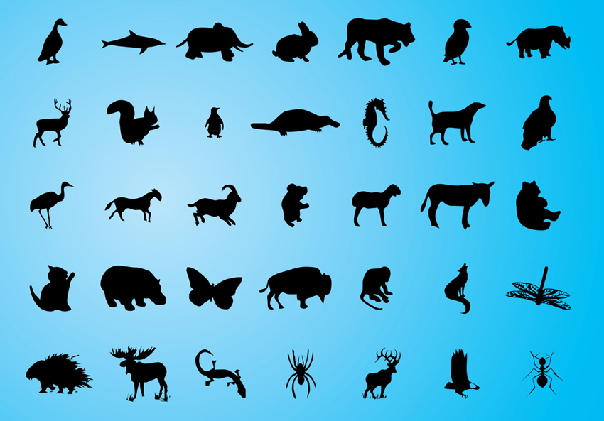 Cute Animal Silhouette Images & Pictures - Becuo