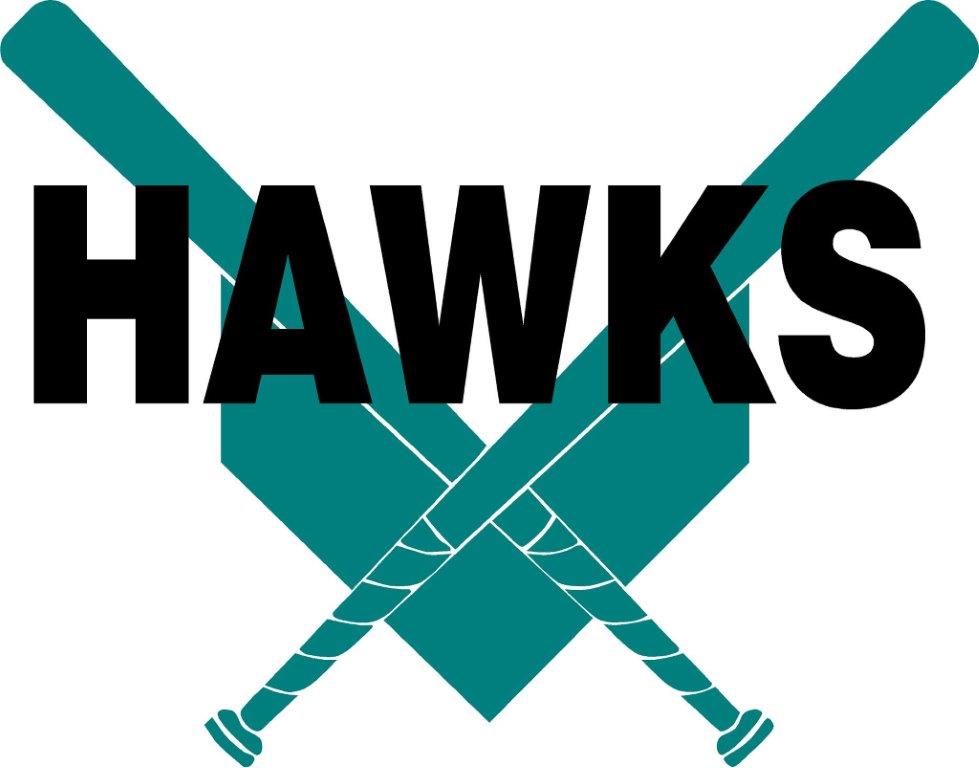 Hawks image - vector clip art online, royalty free & public domain