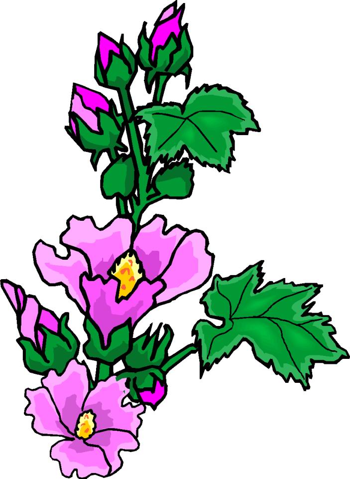 Images Of Flowers Clip Art