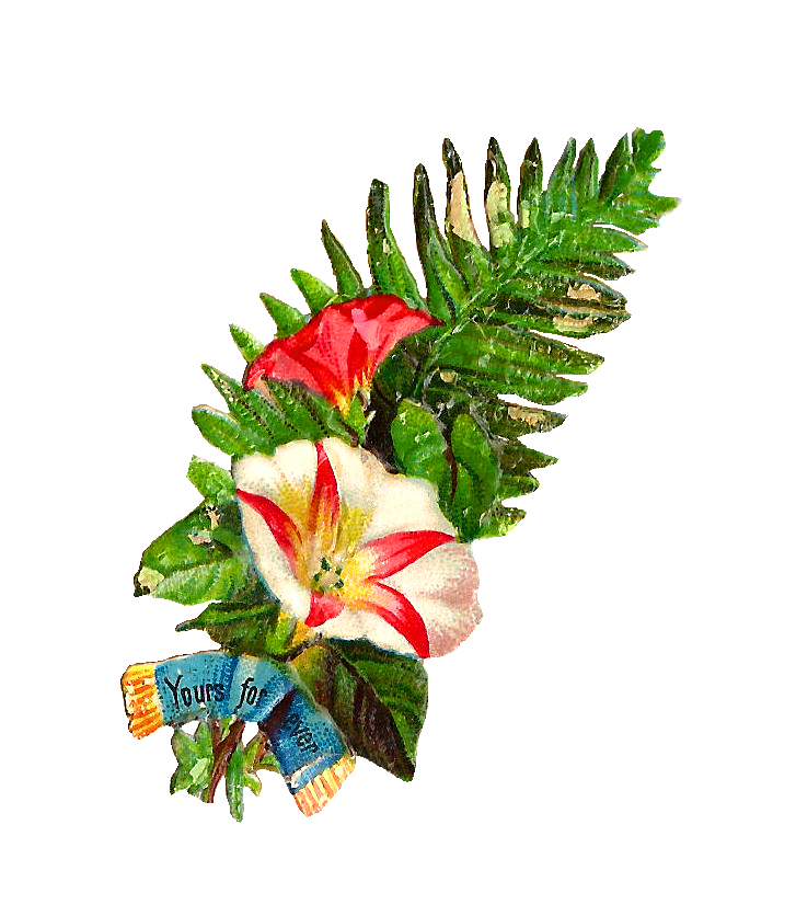 Antique Images: Free Flower Clip Art: Graphic of Flower Bouquet ...