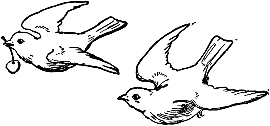 Two Birds | ClipArt ETC