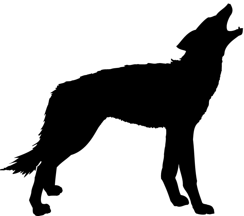 Silhouette Wolf Jungle Animals Wall Stickers Wall Art Decals ...