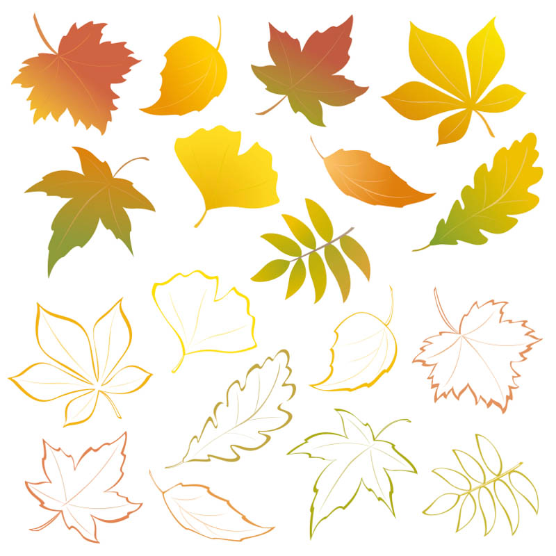 Autumn | Vector Graphics Blog