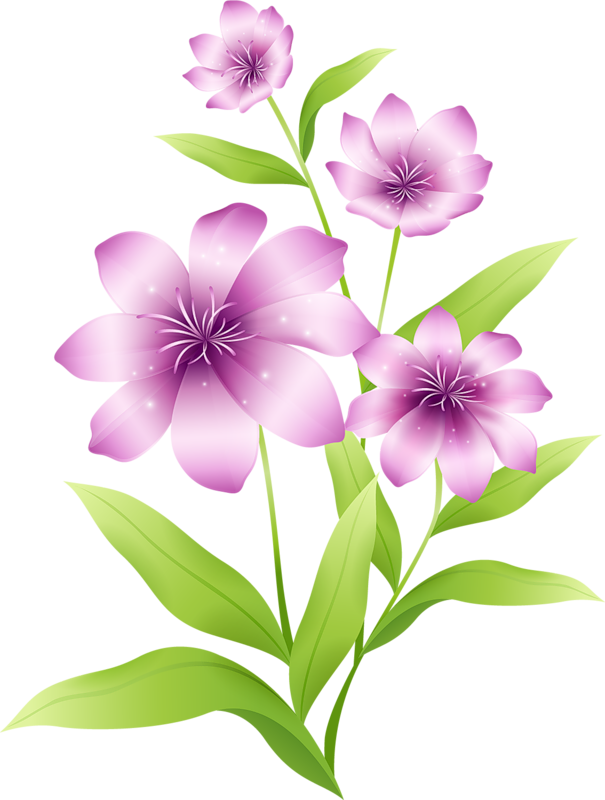 Large_Light_Pink_Flowers_ ...