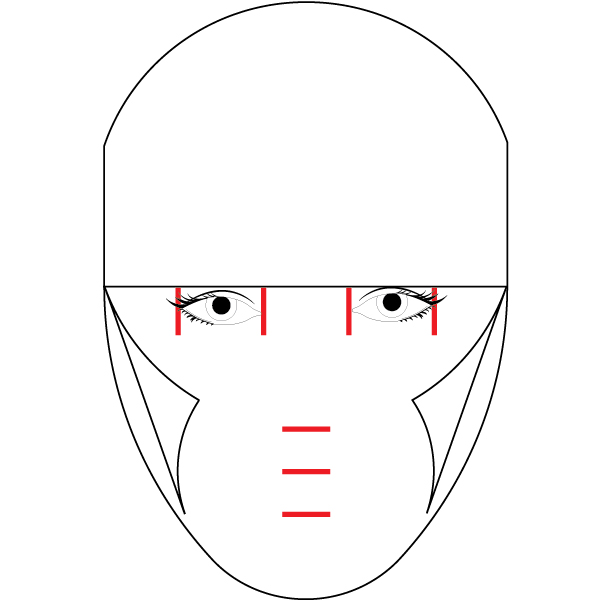 Human face template