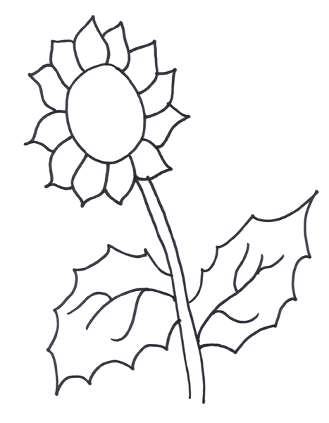 Sunflower Coloring Pages, sunflower coloring page tri county ...