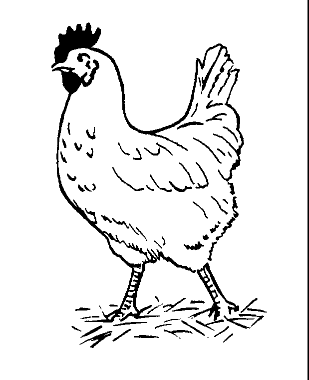 little-red-hen-coloring-pages- ...