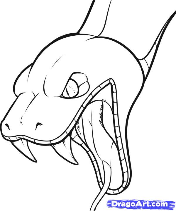 How to Draw a Snake Head, Draw Snake Heads, Step by Step, Snakes ...