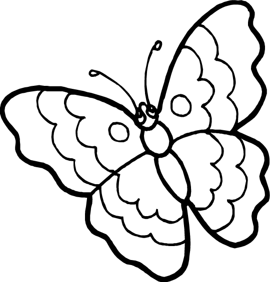 Butterfly coloring sheet / Caterpillar coloring sheet
