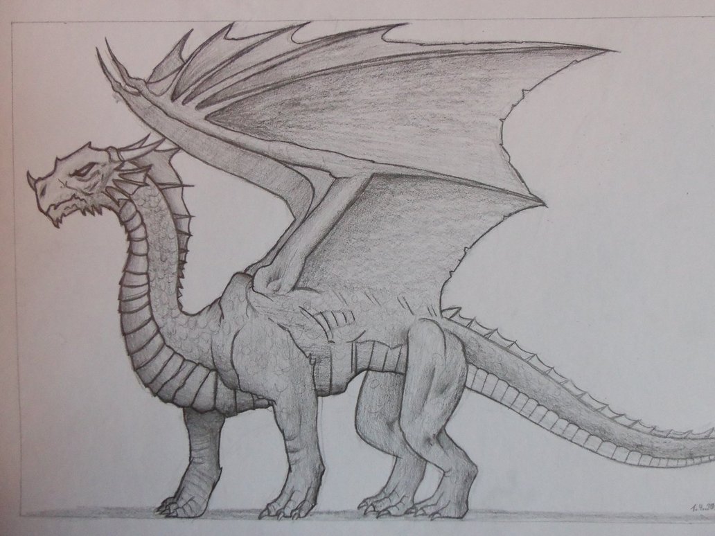 Dragon Drawings - Gallery