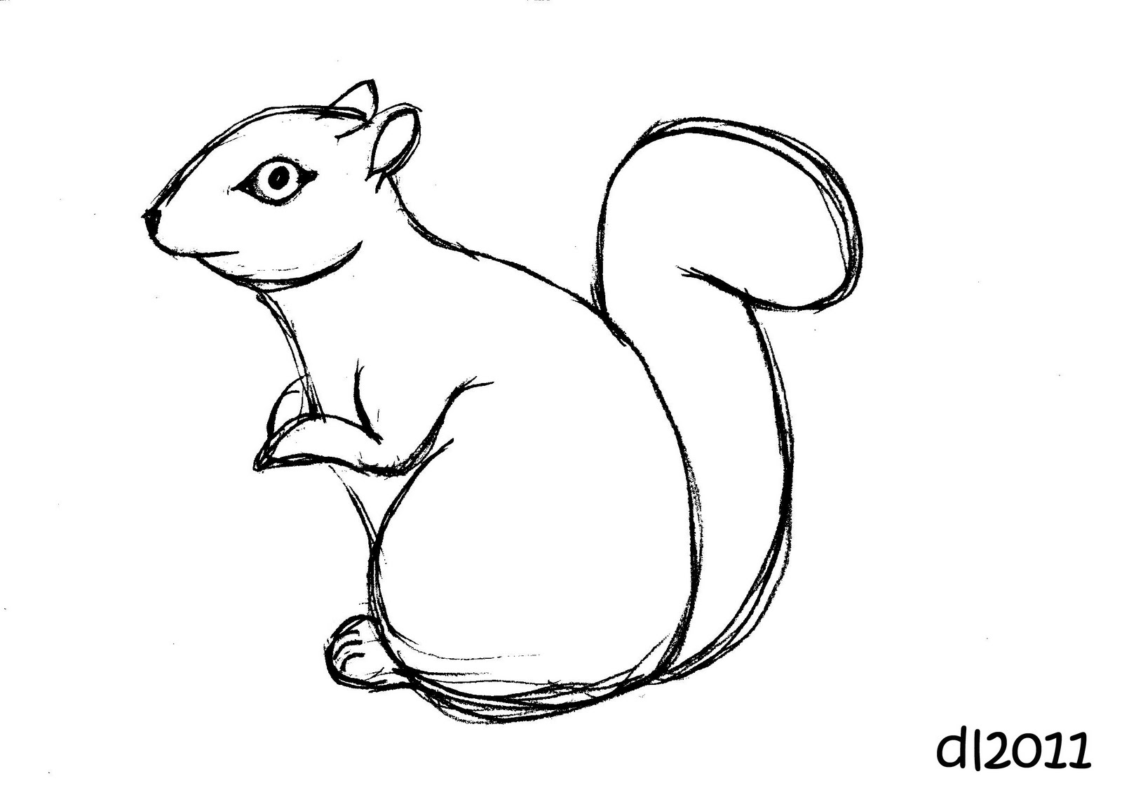 Trends For > Squirrel In Tree Coloring Pages