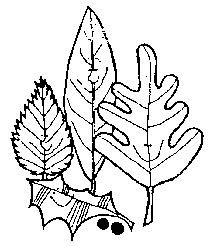 Leaves Clipart - ClipArt Best