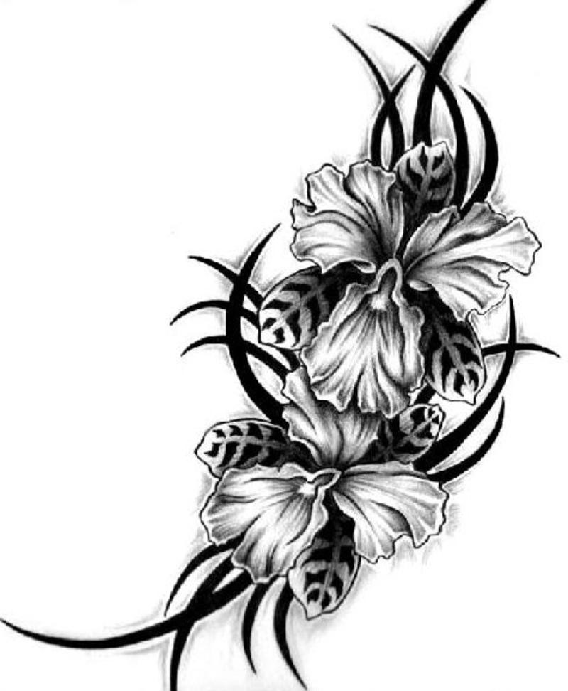 Hawaiian Flower Tattoo Designs - Plug & PiercingPlug & Piercing