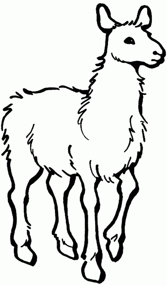 Awesome Llama Print Coloring Pages - Animal Coloring pages of ...