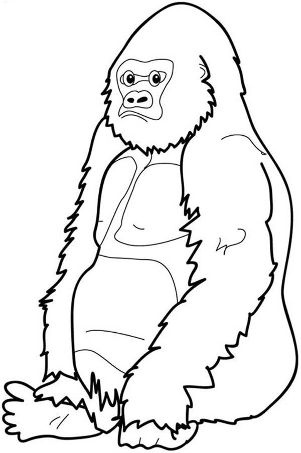 Gorilla is Sitting Down Coloring Page: Gorilla is Sitting Down ...