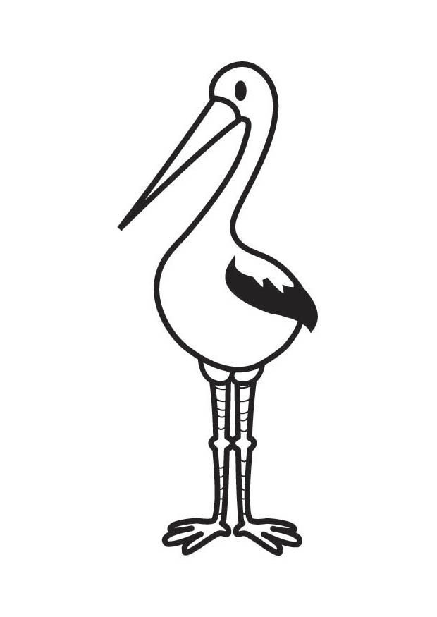 Coloring page Stork - img 17844.