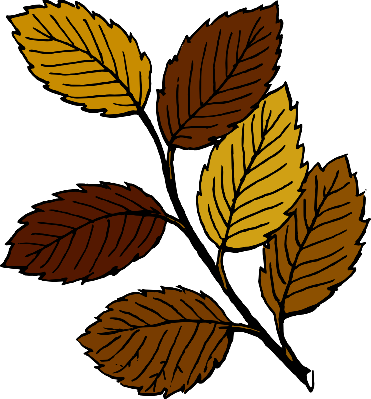 Clipart - Autumn leaves on branch