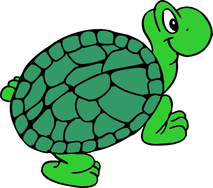 animated clip art turtle - photo #45