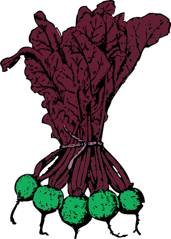 Beets Vegetable - vector Clip Art