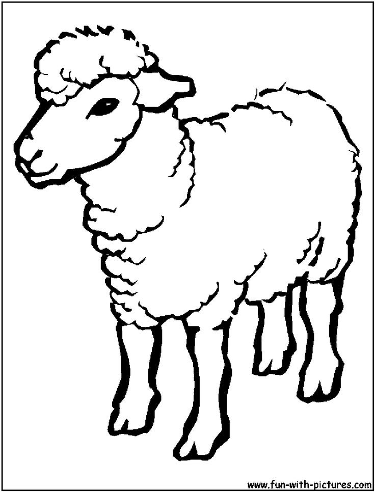 Cartoon Drawing Of A Sheep | lol-
