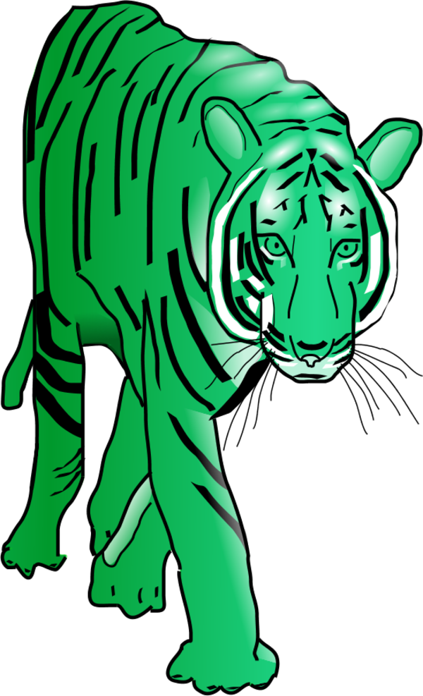Tiger predator - vector Clip Art