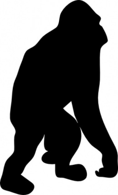 gorilla silhouette Vector | Free Download