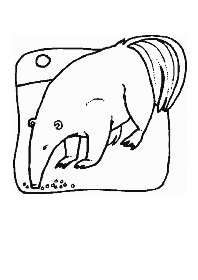 Zoo Animal Coloring Book 209790 Zoo Animals Coloring Pages