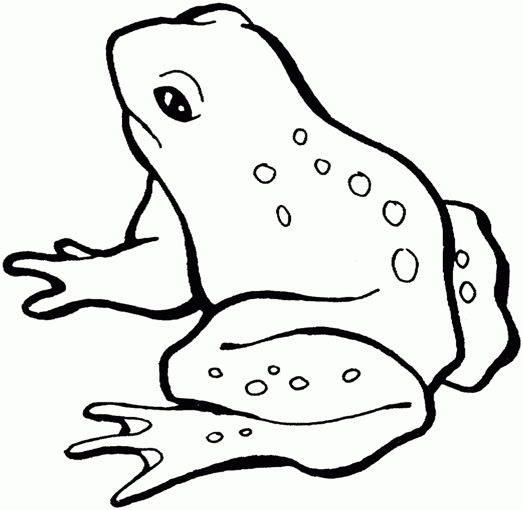 Frog Outline Cliparts co