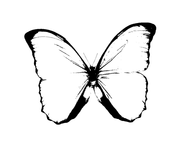 Clip Art Black And White Butterfly / Butterfly Black And White Clip Art