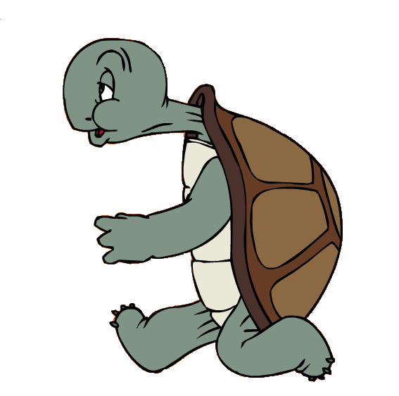 Cecil Turtle - Looney Tunes Wiki